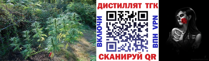 дарк нет телеграм  Ивангород  Дистиллят ТГК вейп 